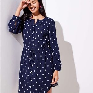 Loft Navy and White Polka-Dot Dress